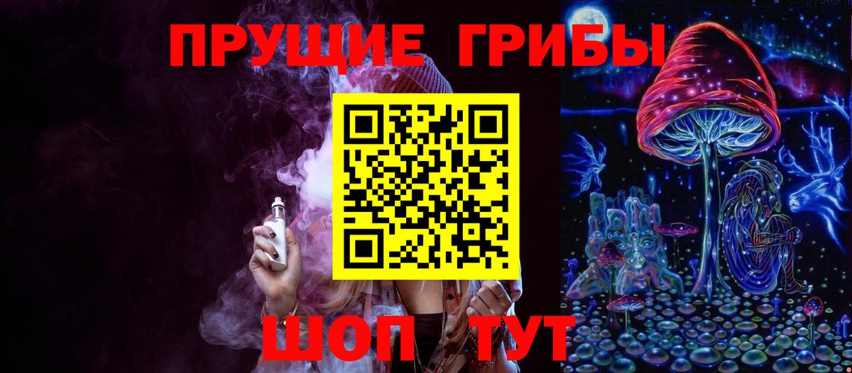 Псилоцибиновые грибы Psilocybe Гуково