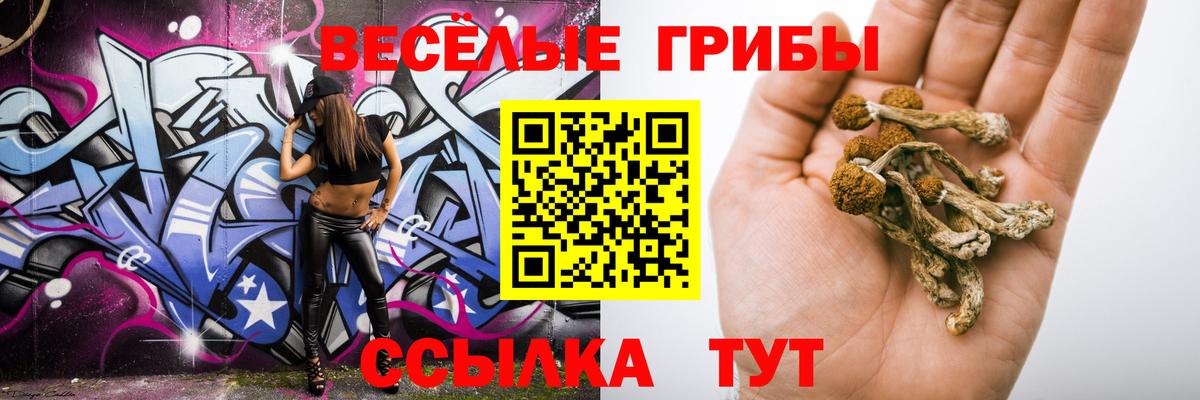 Гуково  Галлюциногенные грибы ЛСД  купить наркотики сайты  Вход с VPN  Псилоцибиновые грибы Magic Shrooms 
